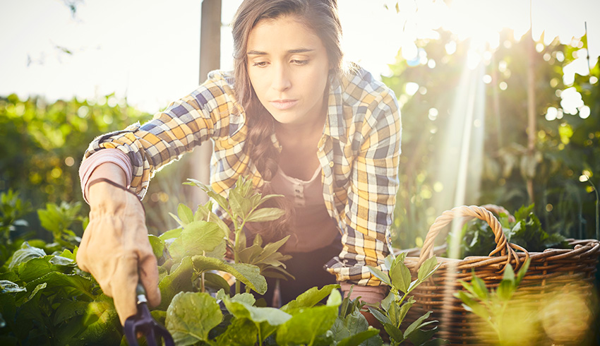 What Does Biodynamic®️ Mean For Your Skin? - Skin Care