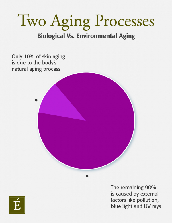 biological vs environmental aging infographic