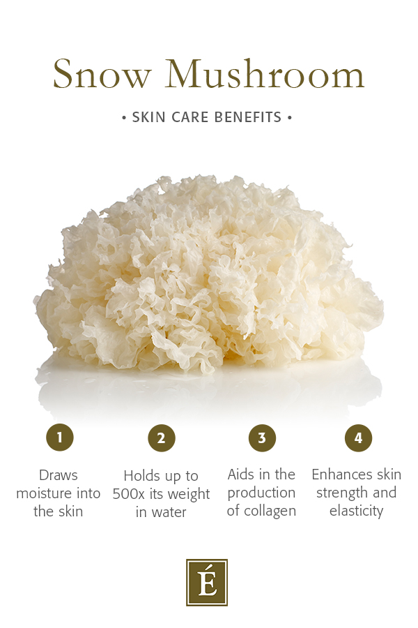 Infographic: Snow Mushroom Skin Care Benefits