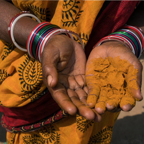 Indian woman holding turmeric spice